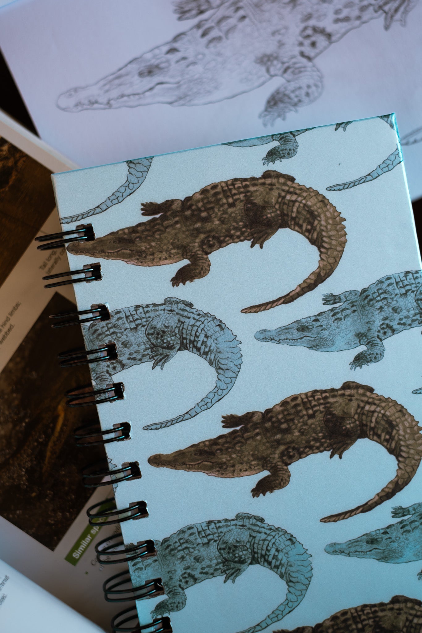 Libreta Cocodrilo Americano | Crocodylus acutus