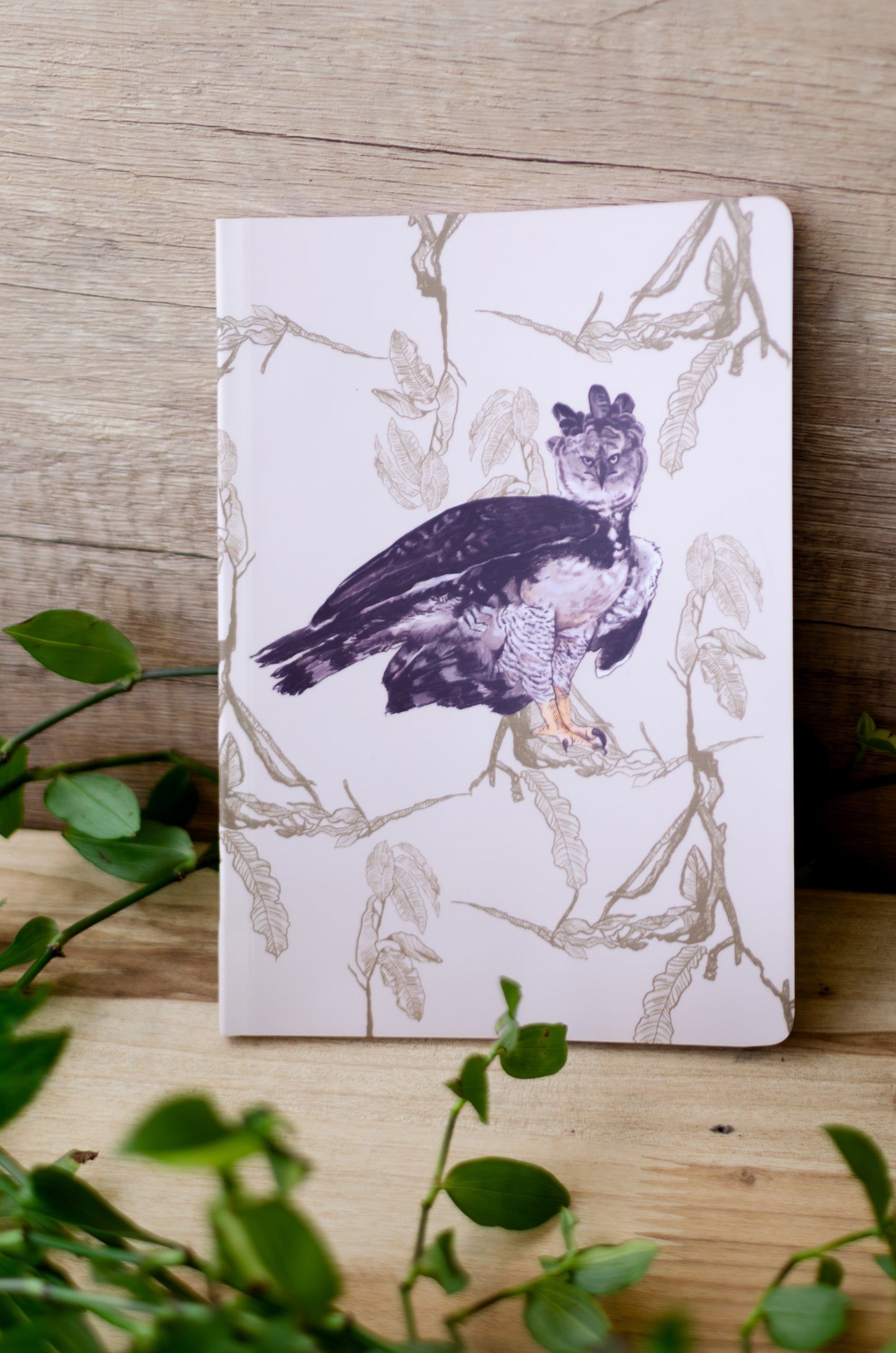 Libreta Águila Arpía