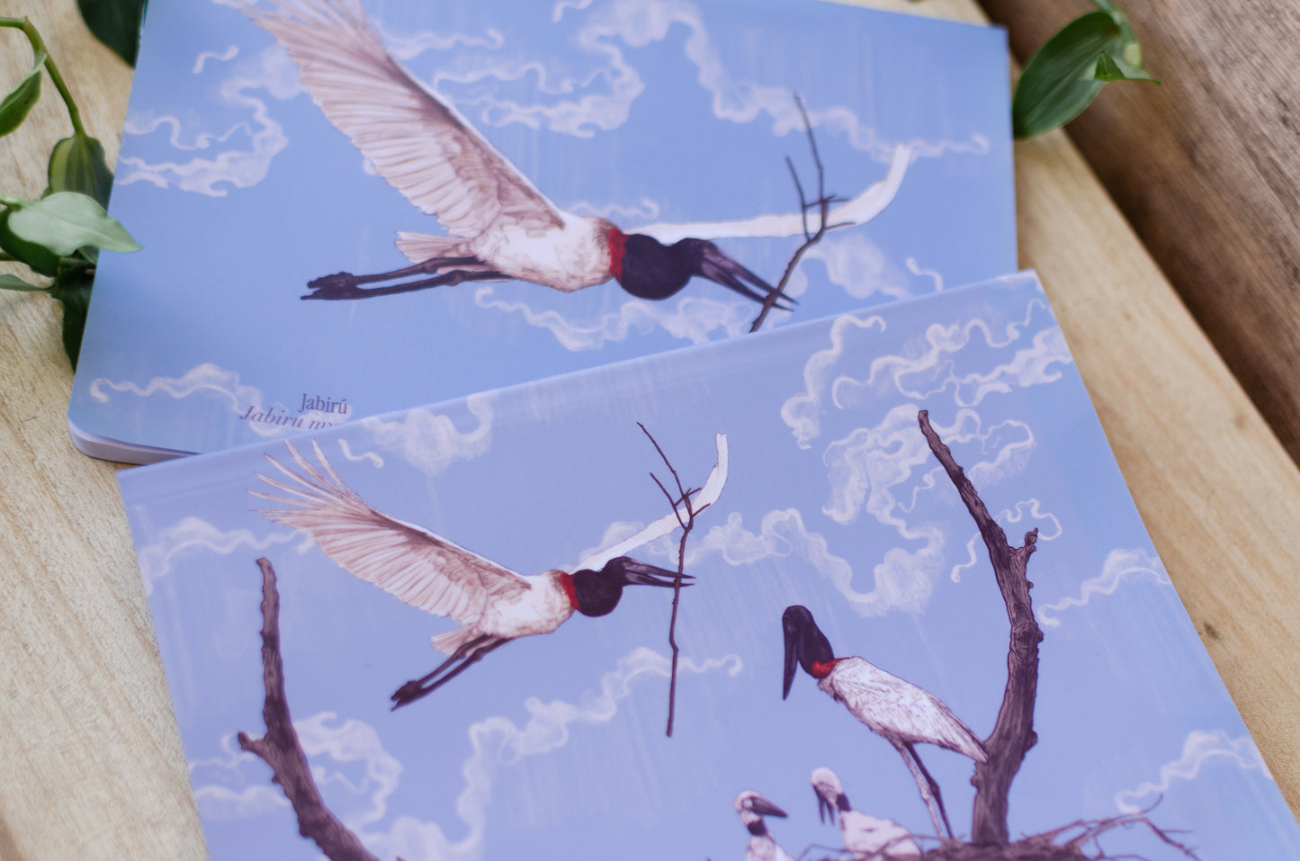 Libreta Jabirú