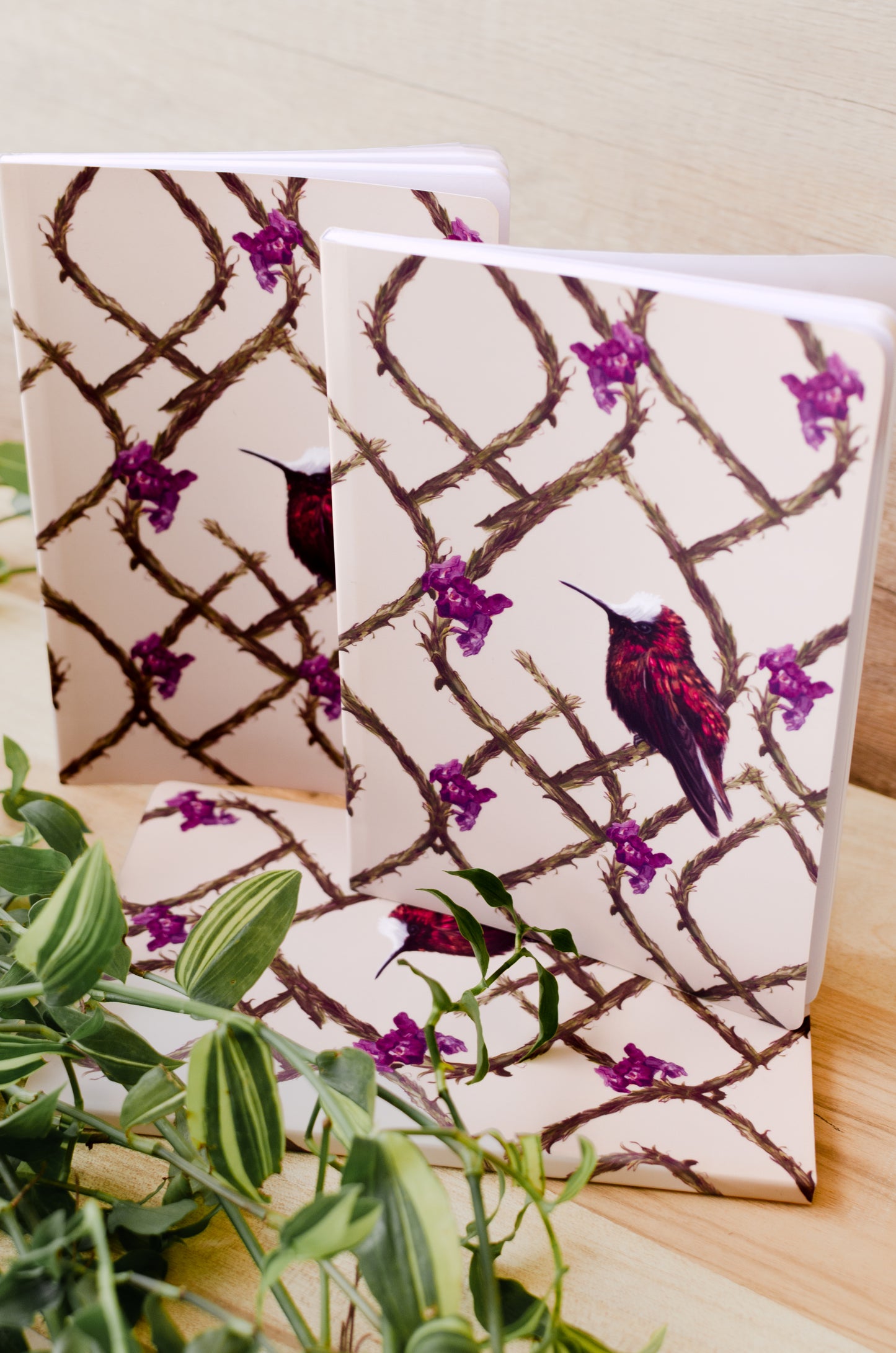 Libreta Copete de Nieve