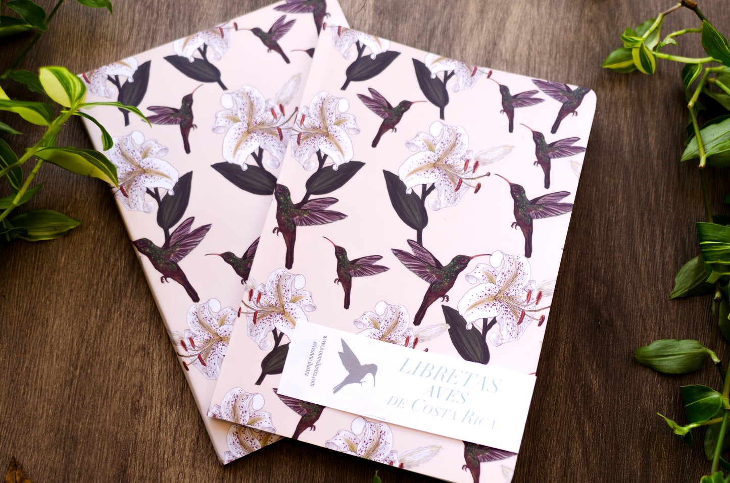 Libreta Colibrí Rabirrufo