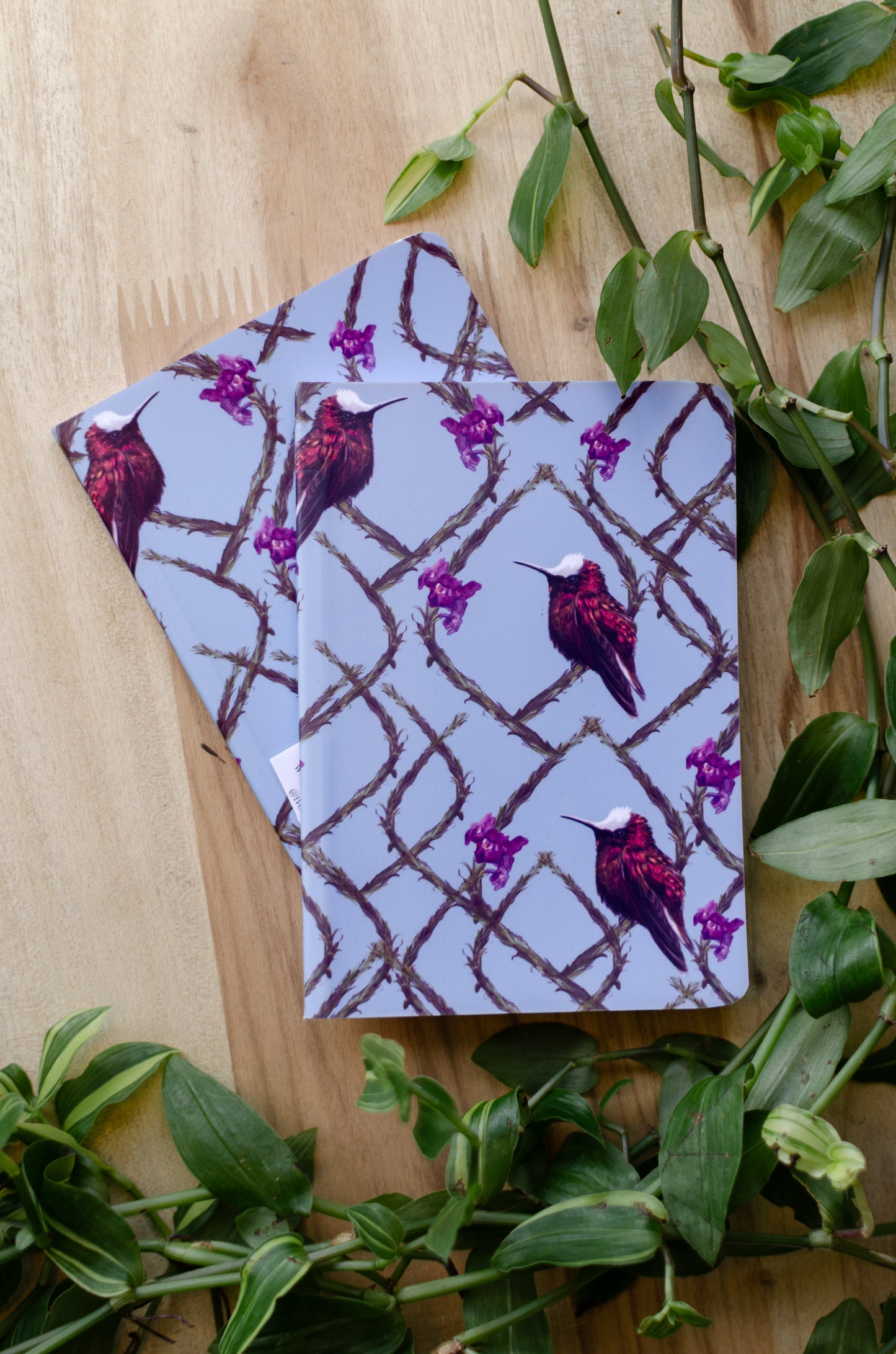 Libreta Pequeña Copete de Nieve