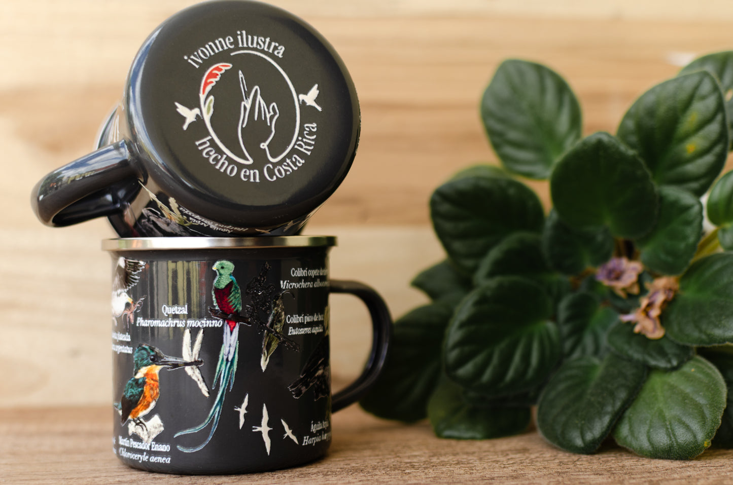 Jarra Loza Aves de Costa Rica Gris