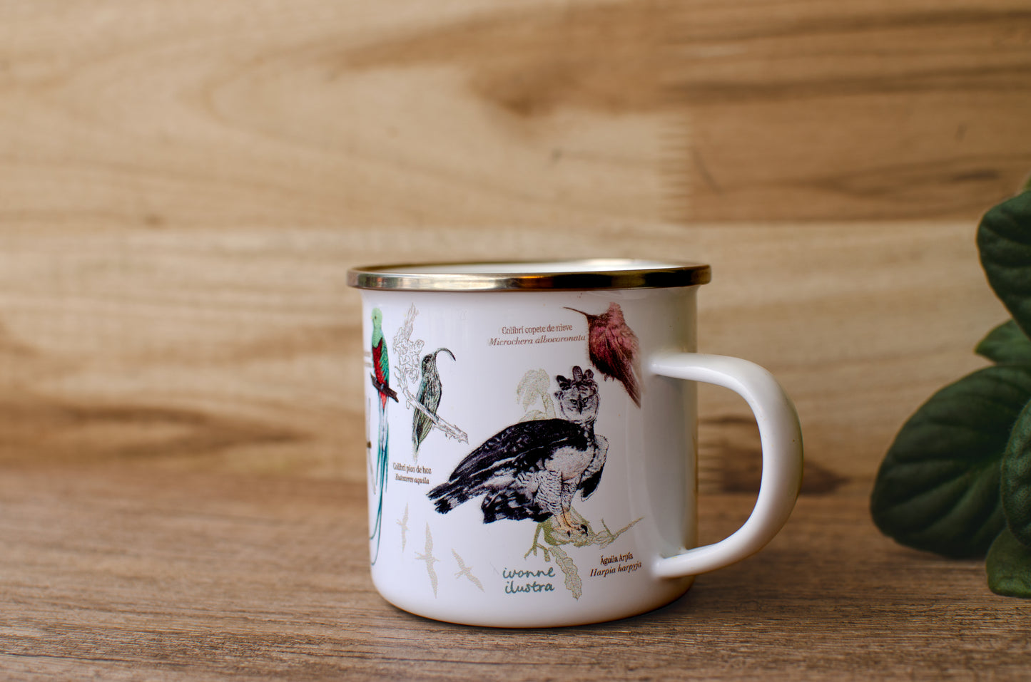 Jarra Loza Aves de Costa Rica Blanca