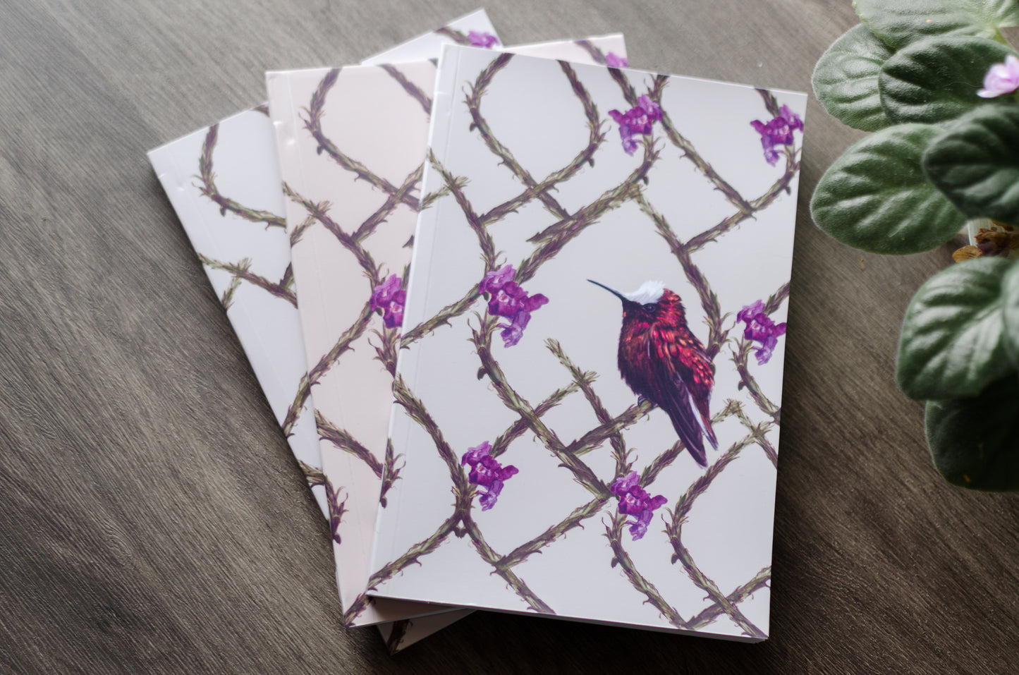 Libreta Copete de Nieve