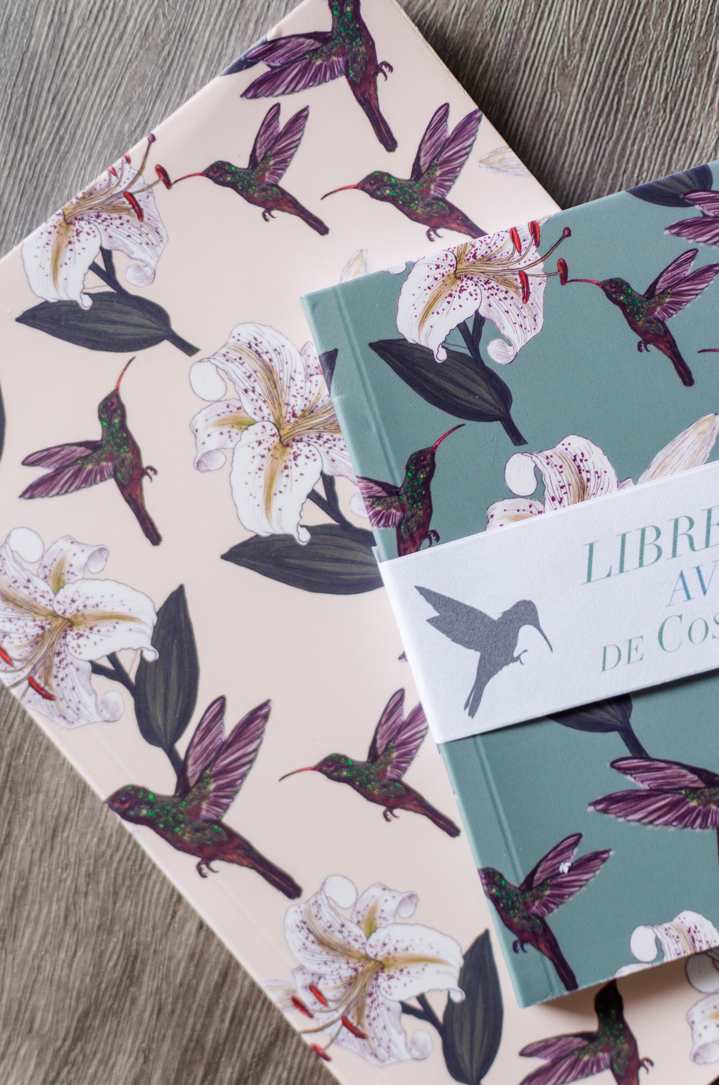 Libreta Colibrí Rabirrufo