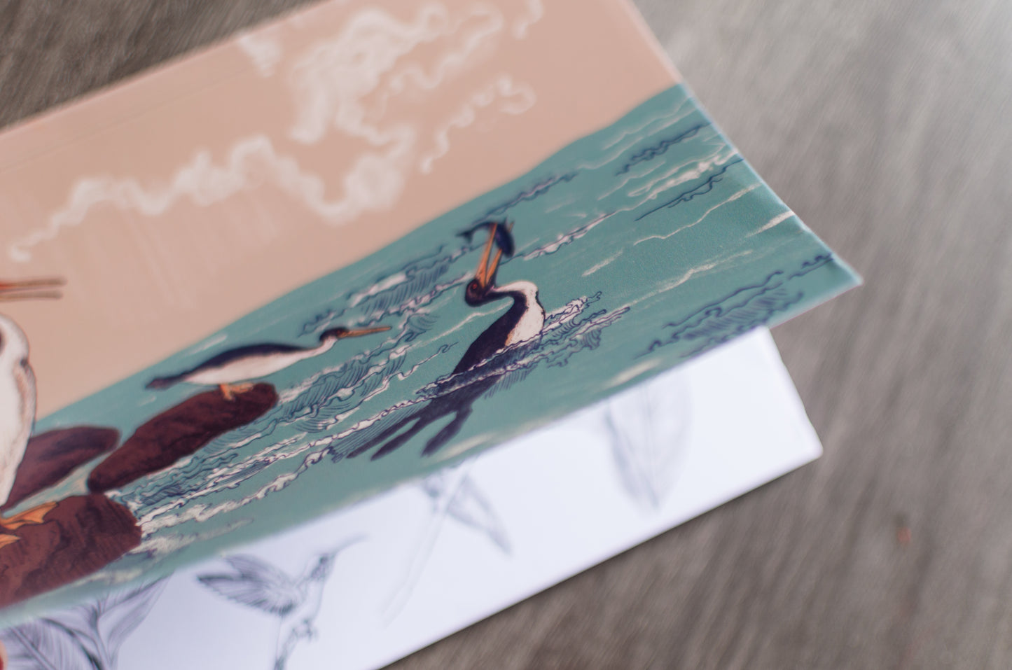 Libreta Asteroide — Hesperornis