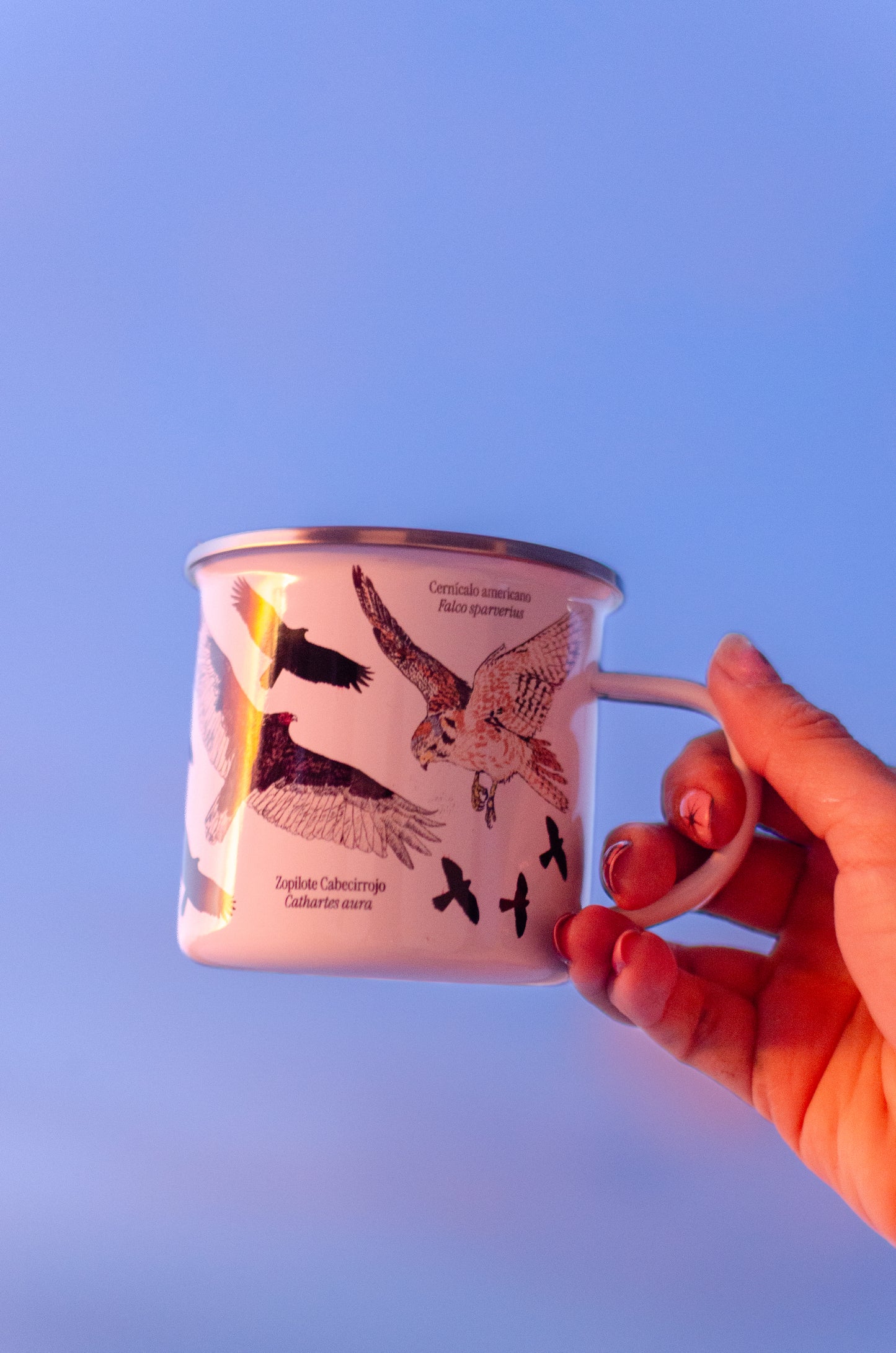 Jarra Loza Rapaces Migratorias