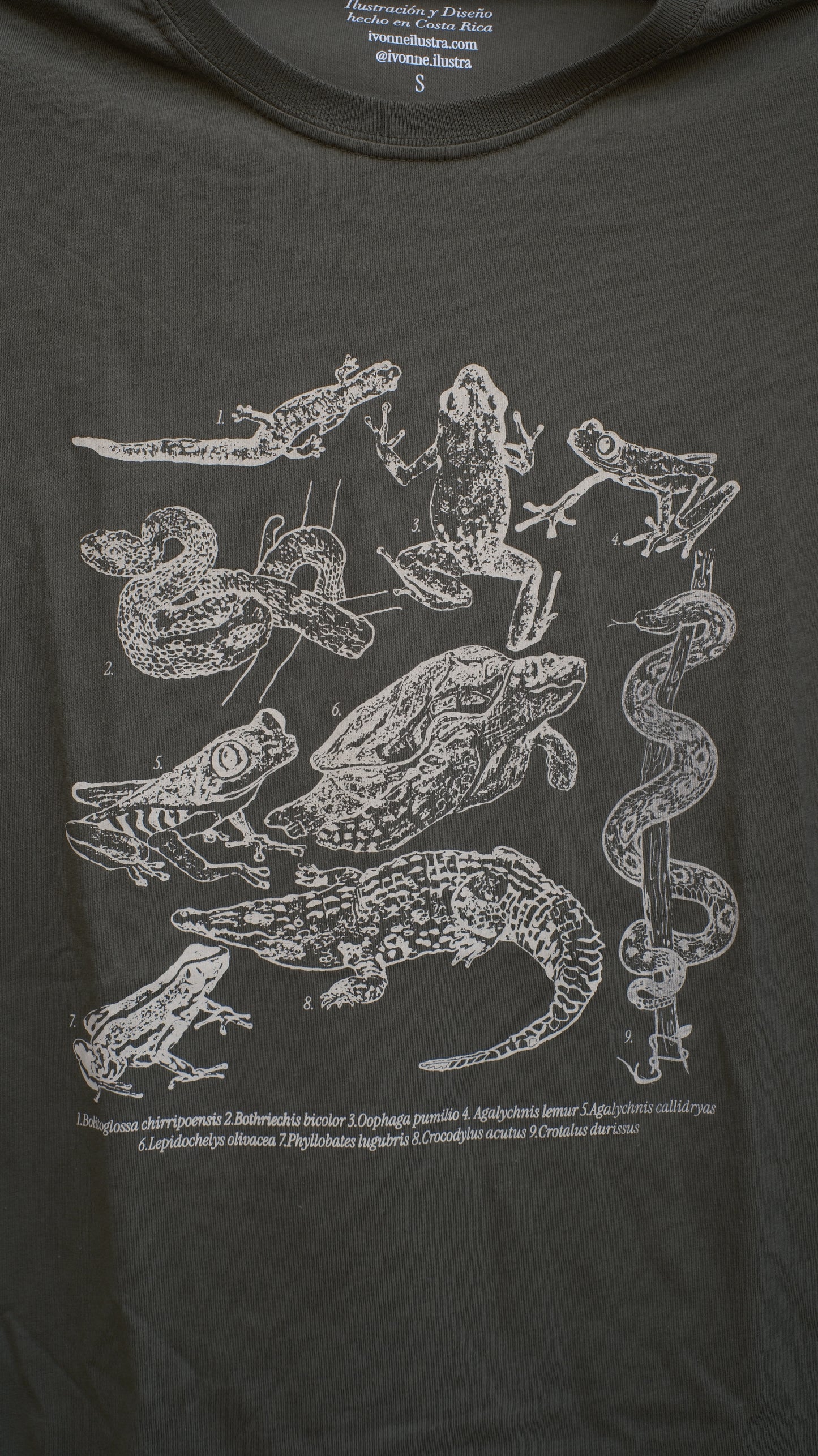 Camiseta Herpetos