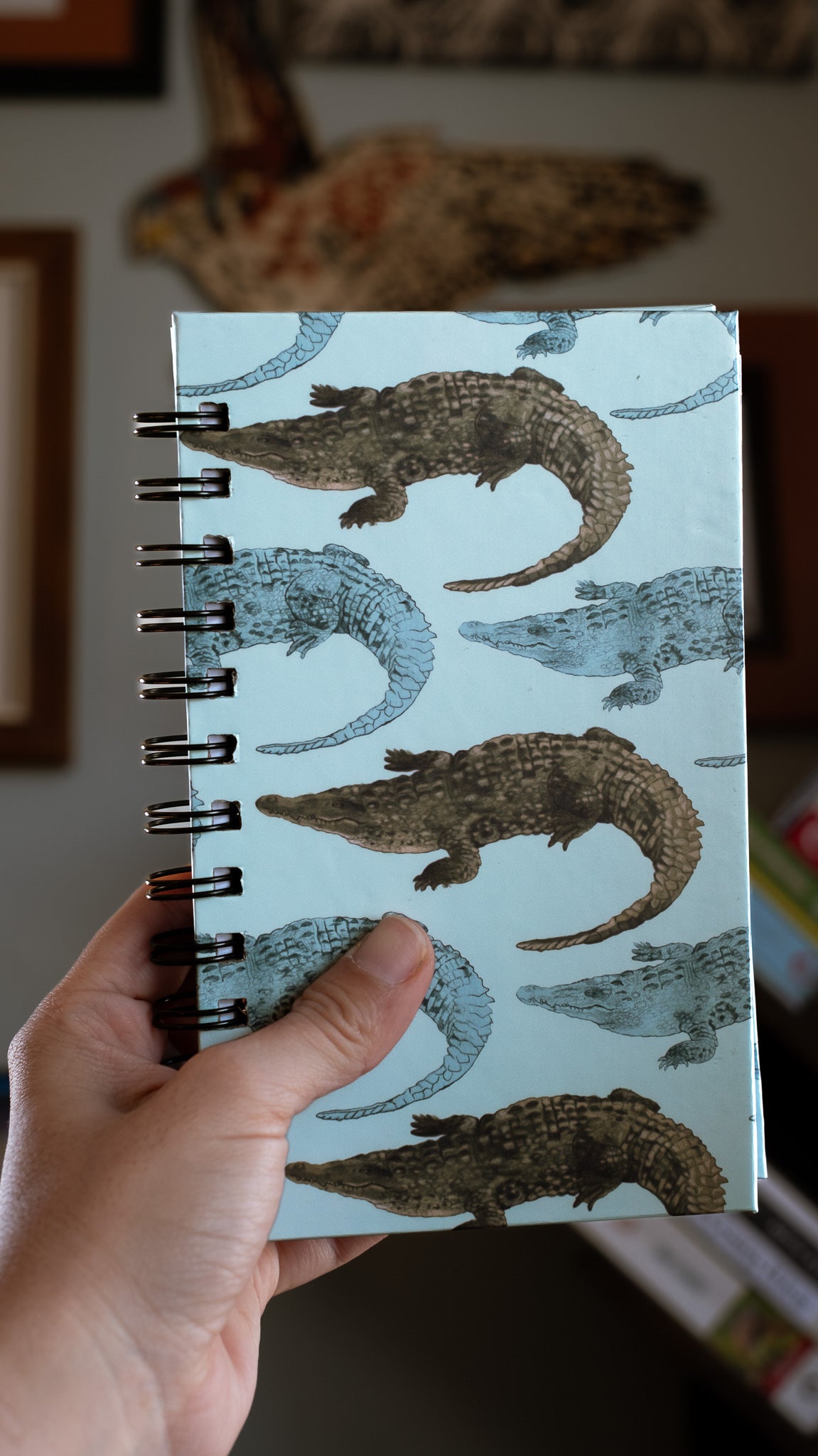 Libreta Cocodrilo Americano | Crocodylus acutus