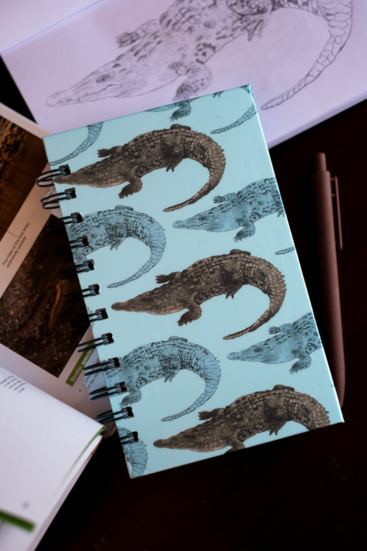 Libreta Cocodrilo Americano | Crocodylus acutus