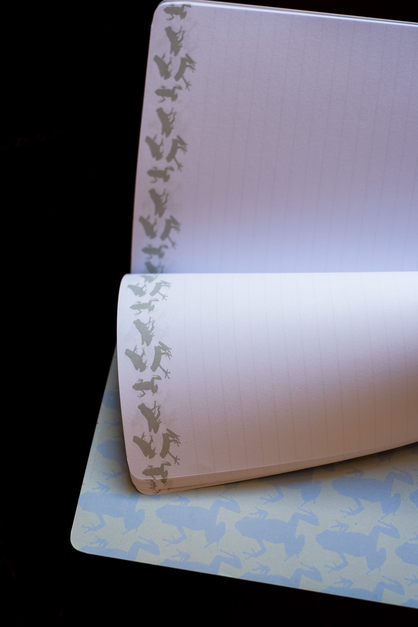 Libreta Ranitas