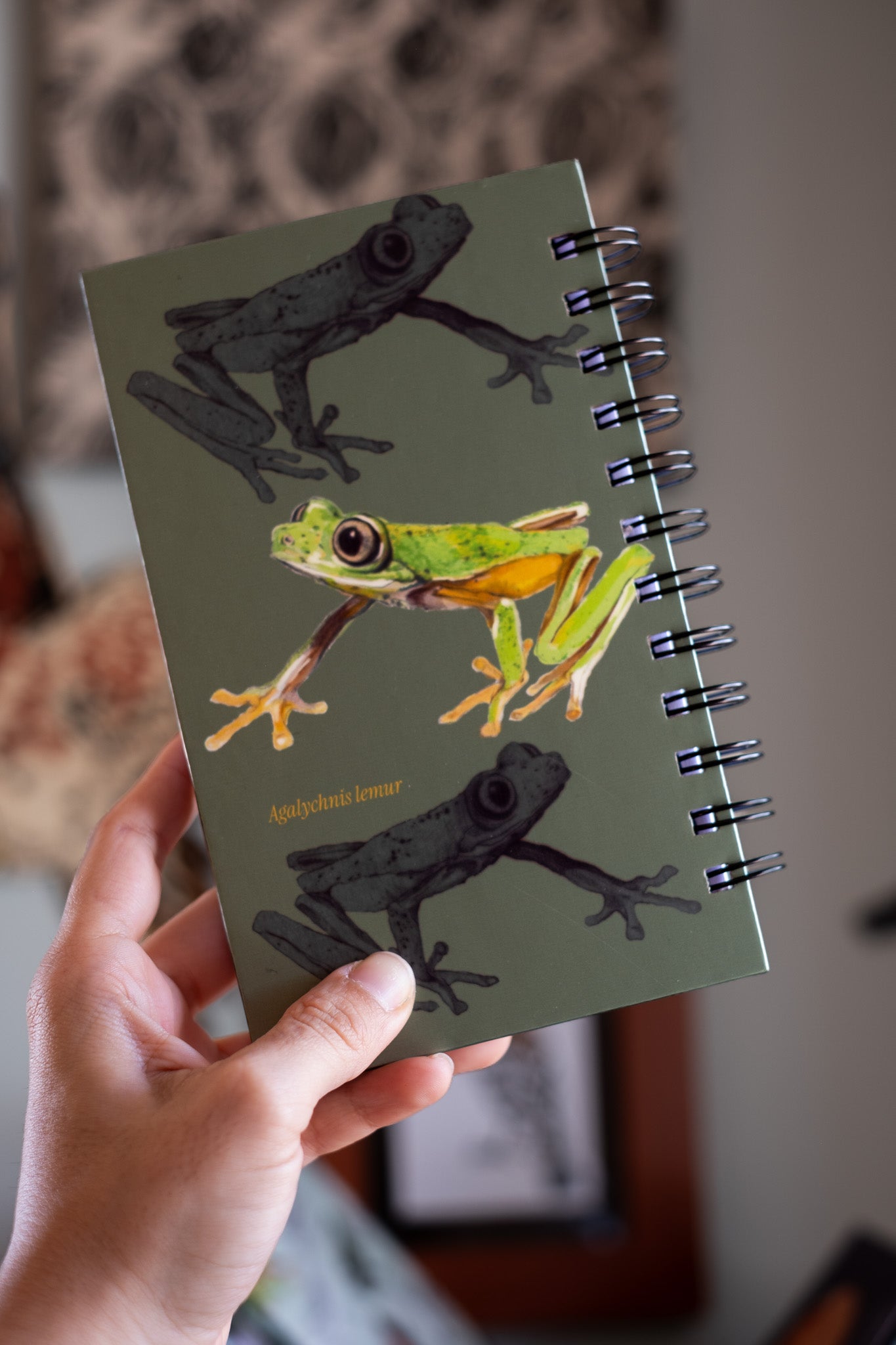 Libreta Lemur | Agalychnis lemur
