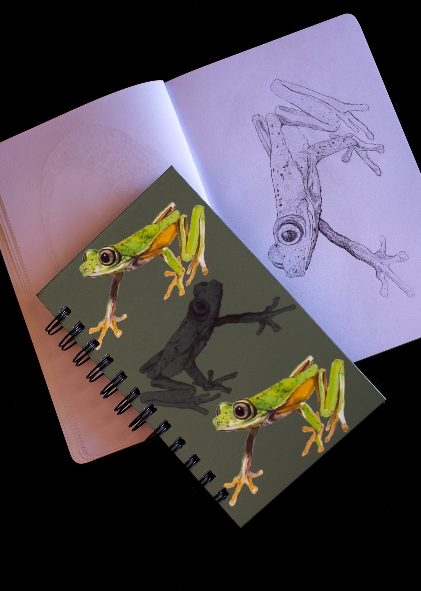 Libreta Lemur | Agalychnis lemur