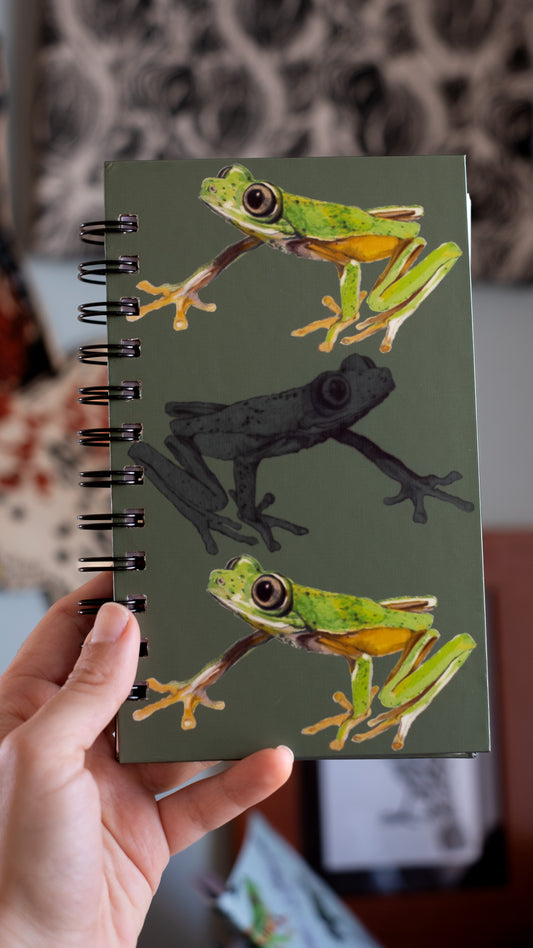 Libreta Lemur | Agalychnis lemur