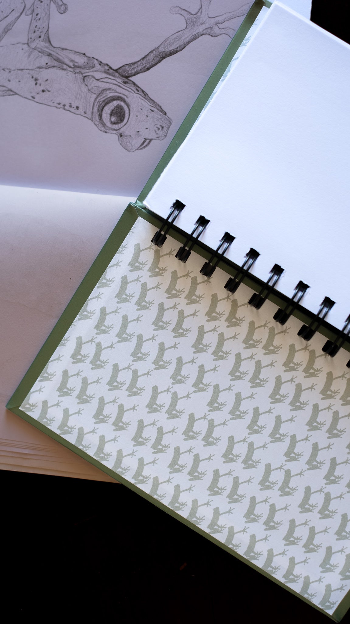 Libreta Lemur | Agalychnis lemur