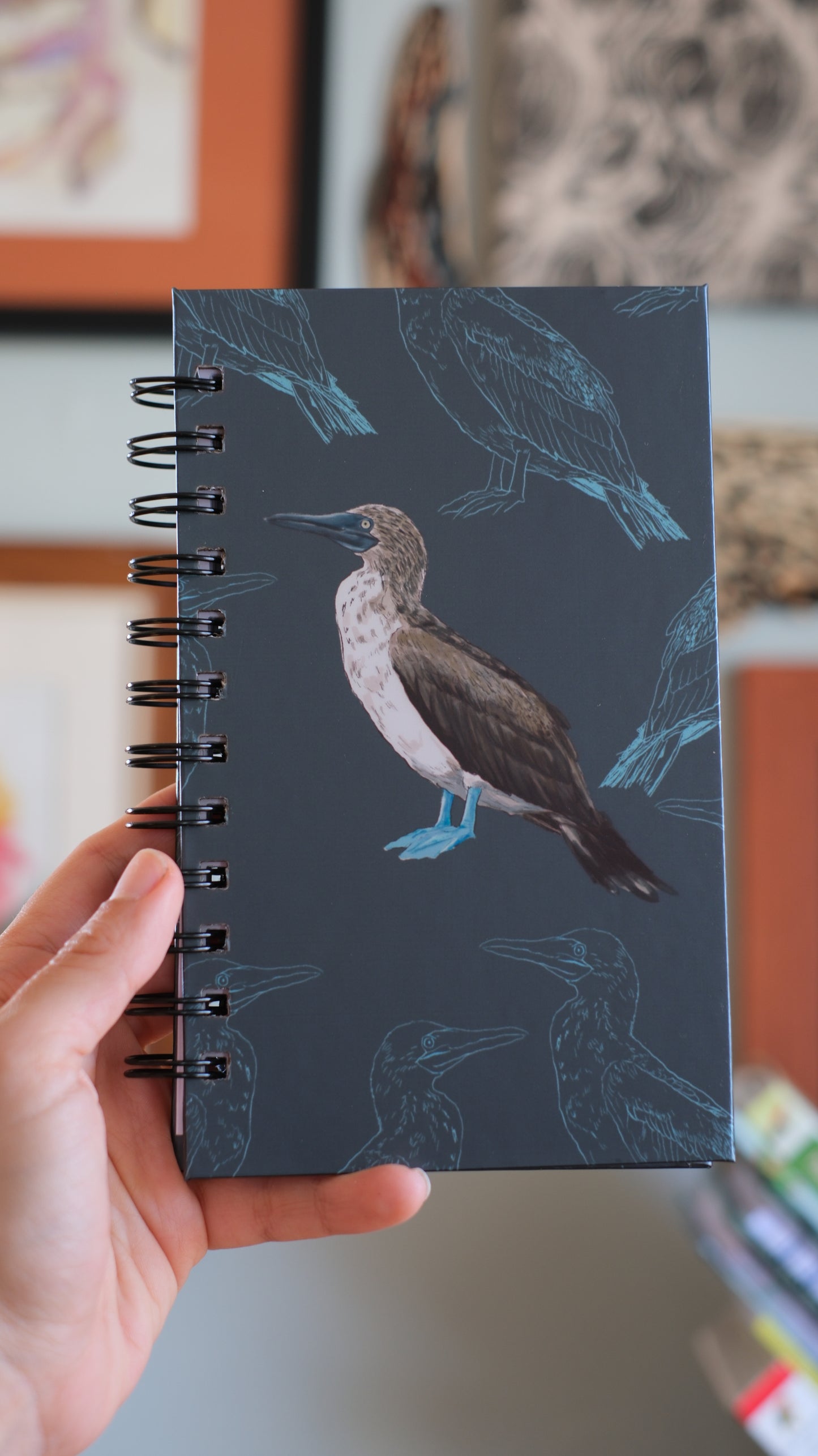 Libreta Patiazul | Sula nebouxii