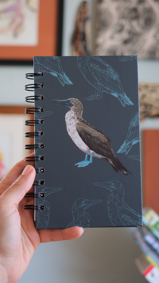 Libreta Patiazul | Sula nebouxii