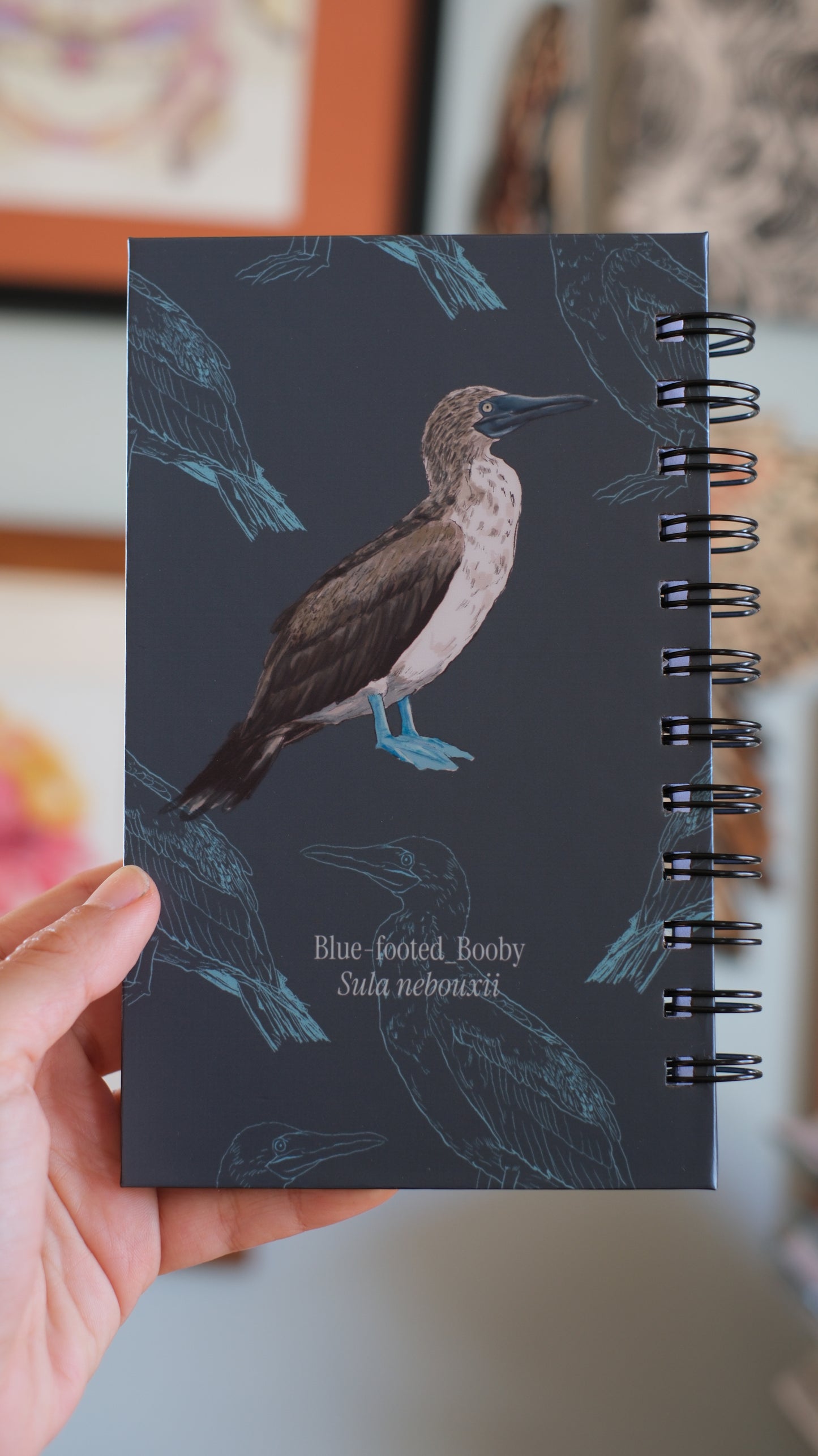 Libreta Patiazul | Sula nebouxii