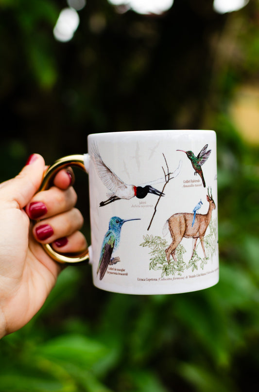 Taza cerámica Aves de Costa Rica