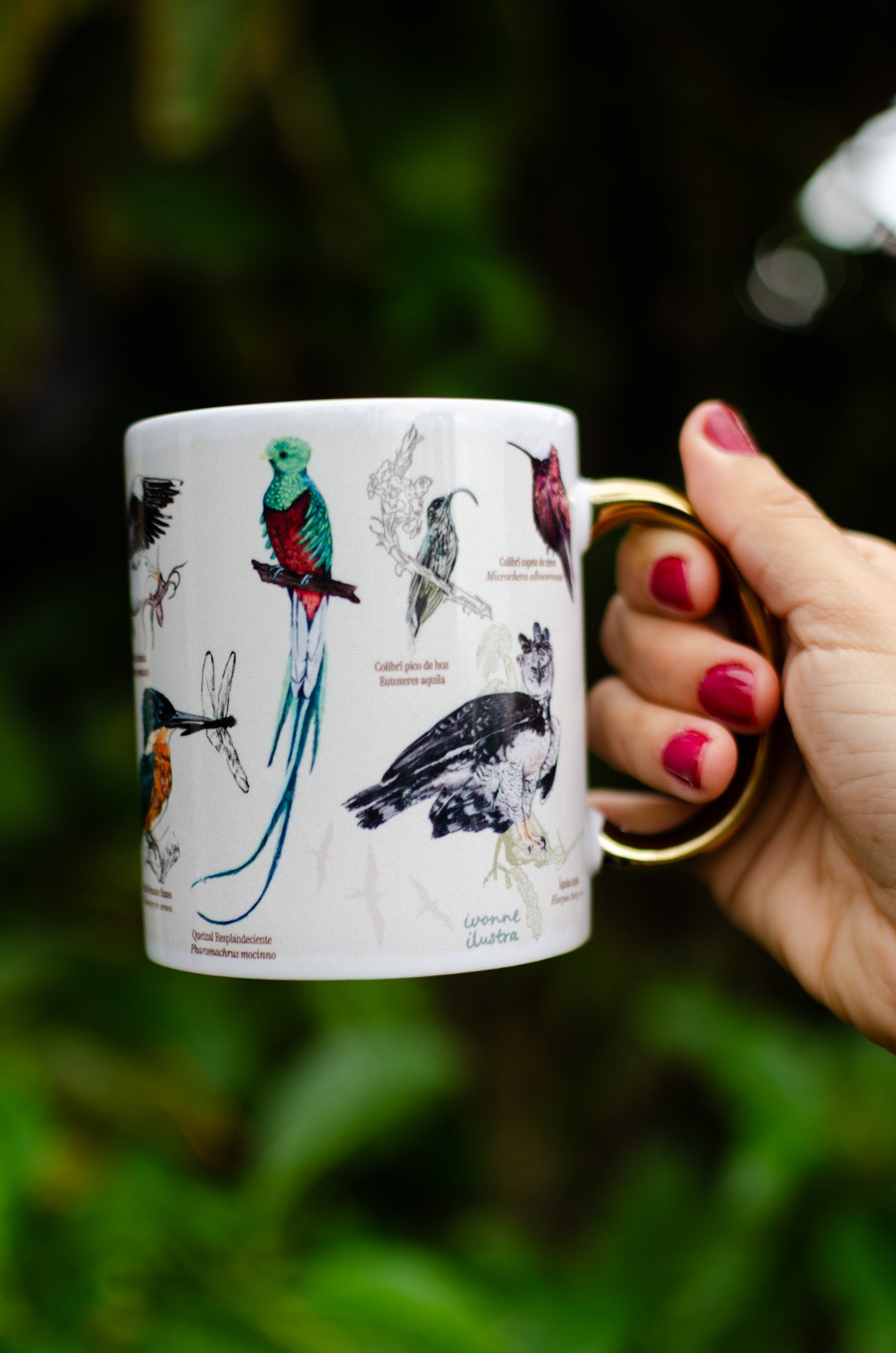 Taza cerámica Aves de Costa Rica