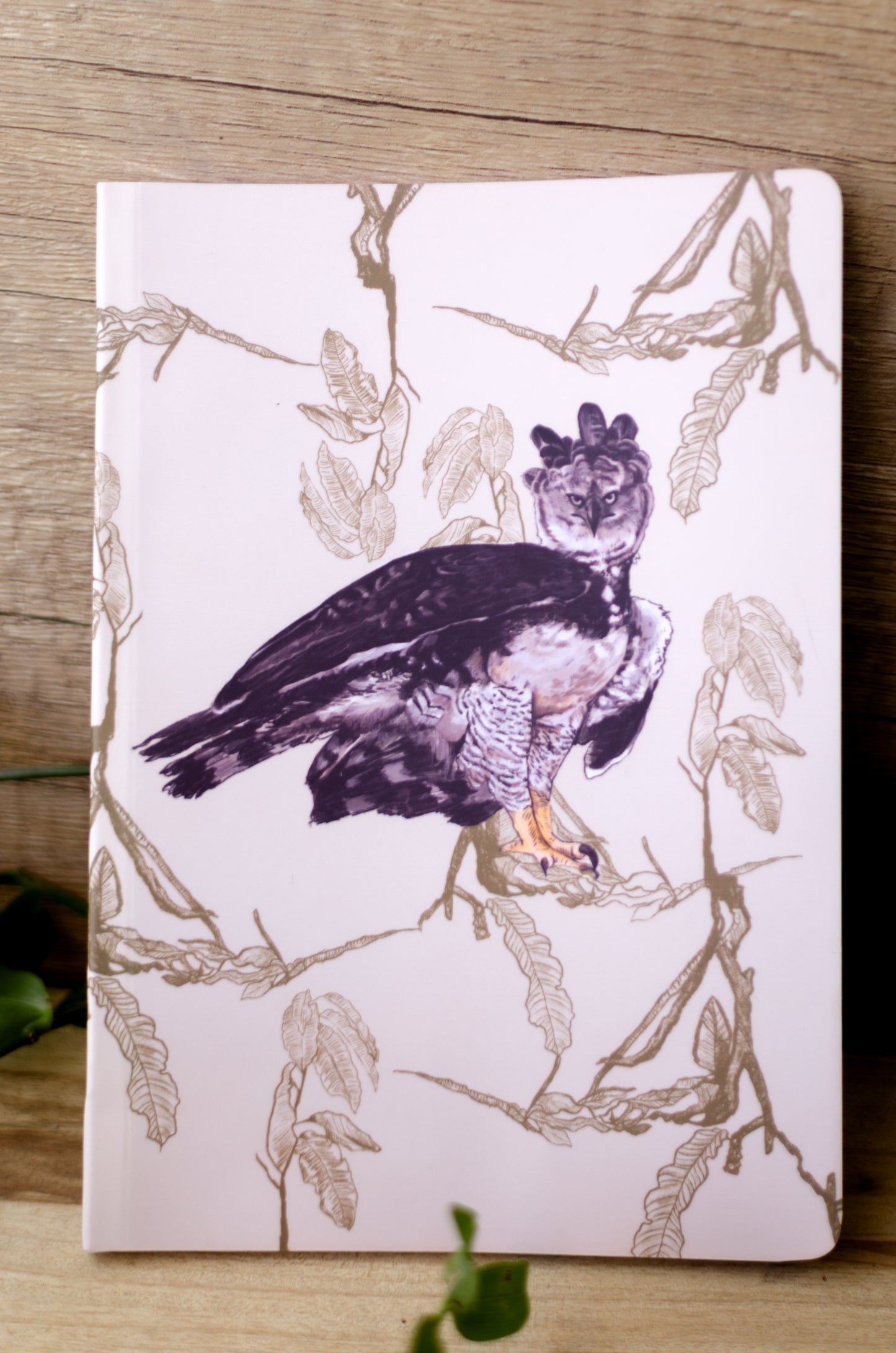 Libreta Águila Arpía