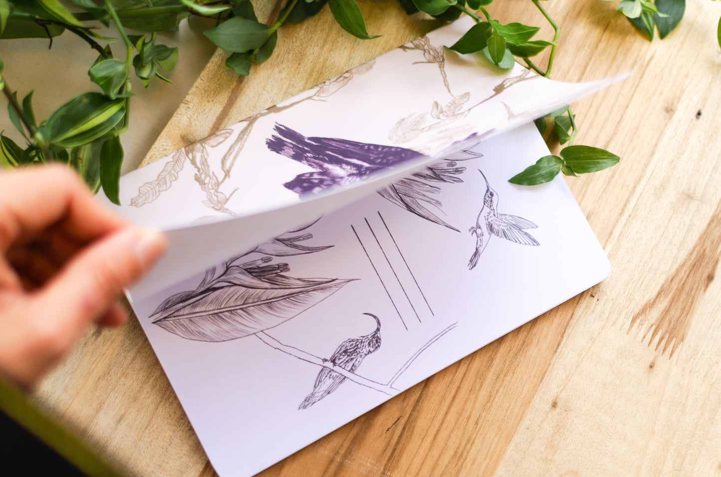 Libreta Águila Arpía