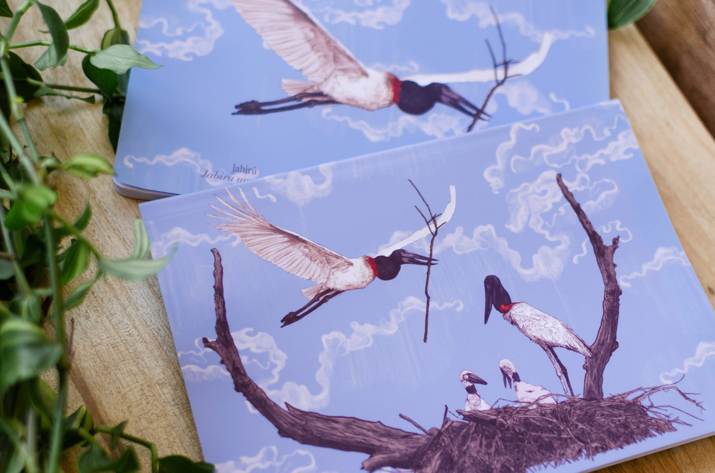 Libreta Jabirú