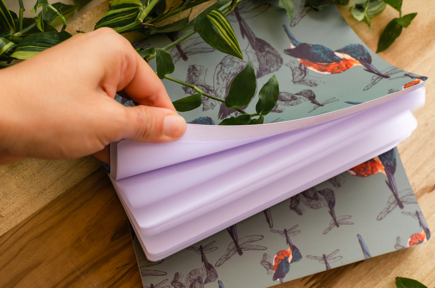 Libreta Martín Pescador