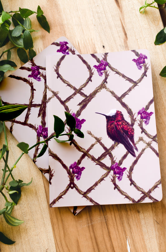 Libreta Copete de Nieve