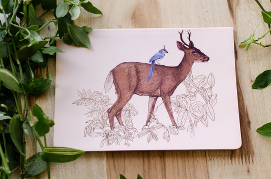 Libreta Venado & Urraca