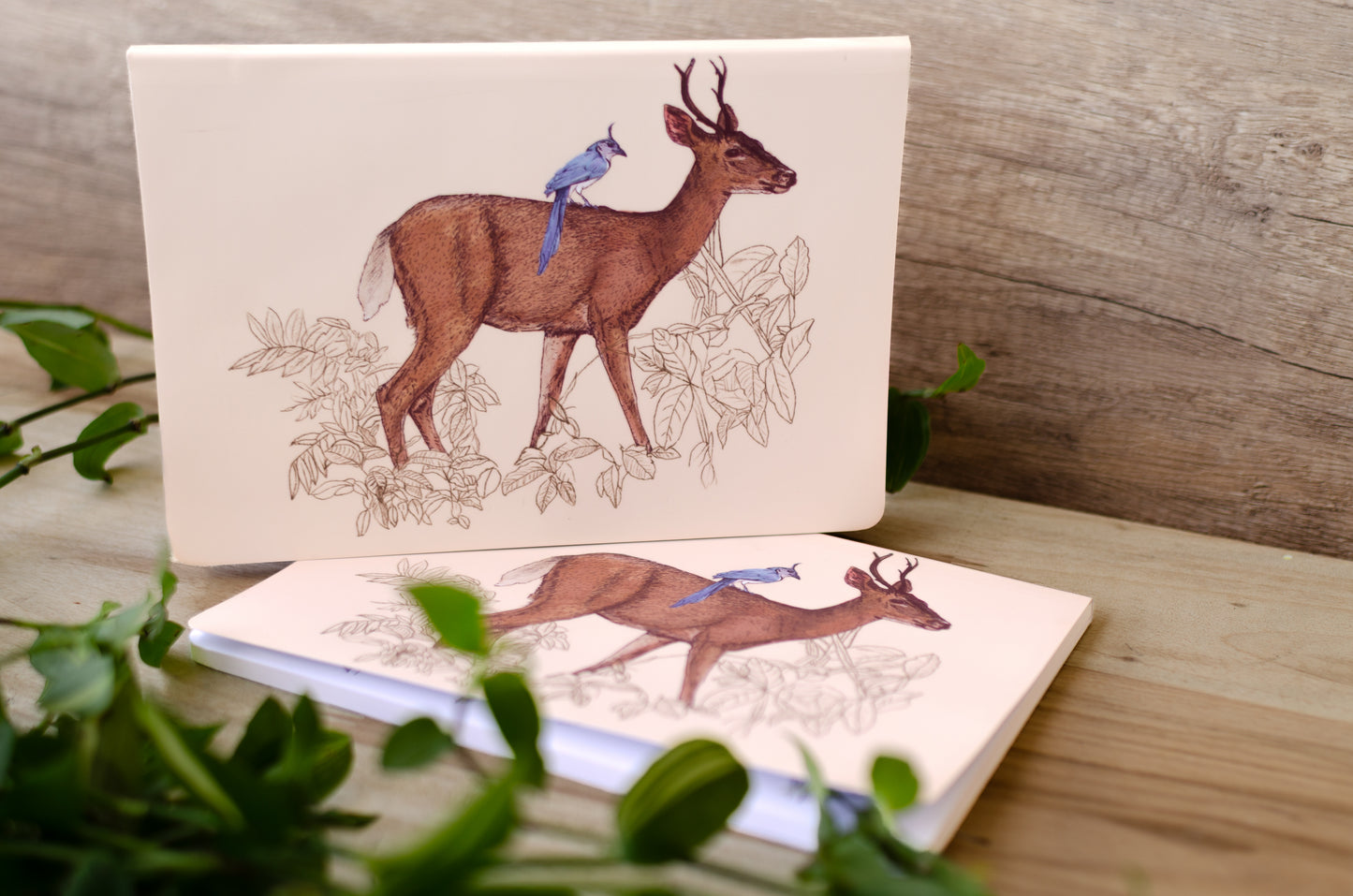 Libreta Venado & Urraca