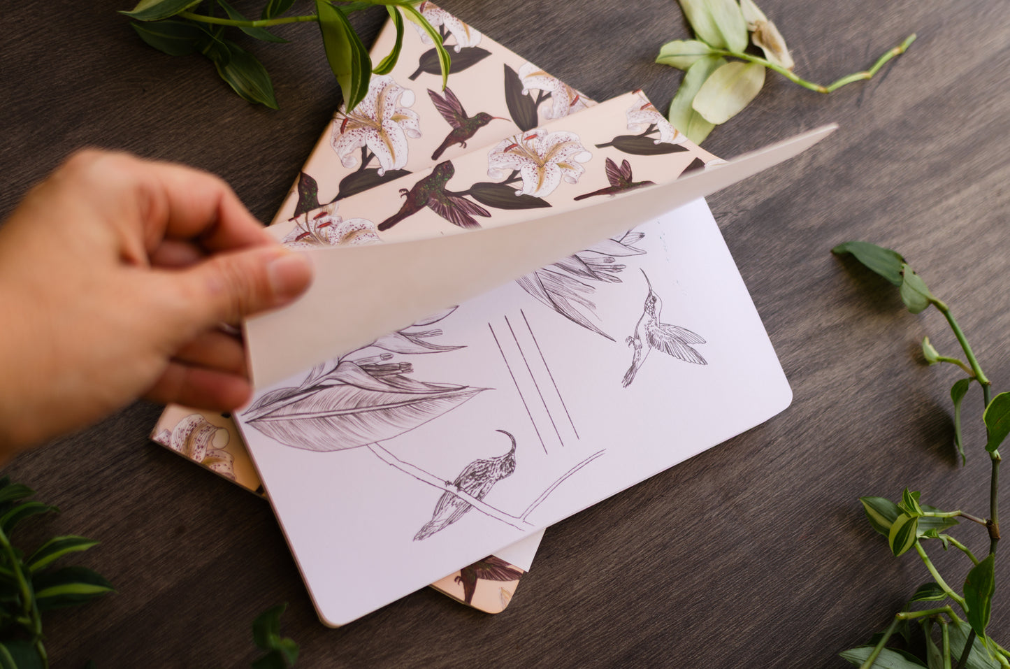 Libreta Colibrí Rabirrufo