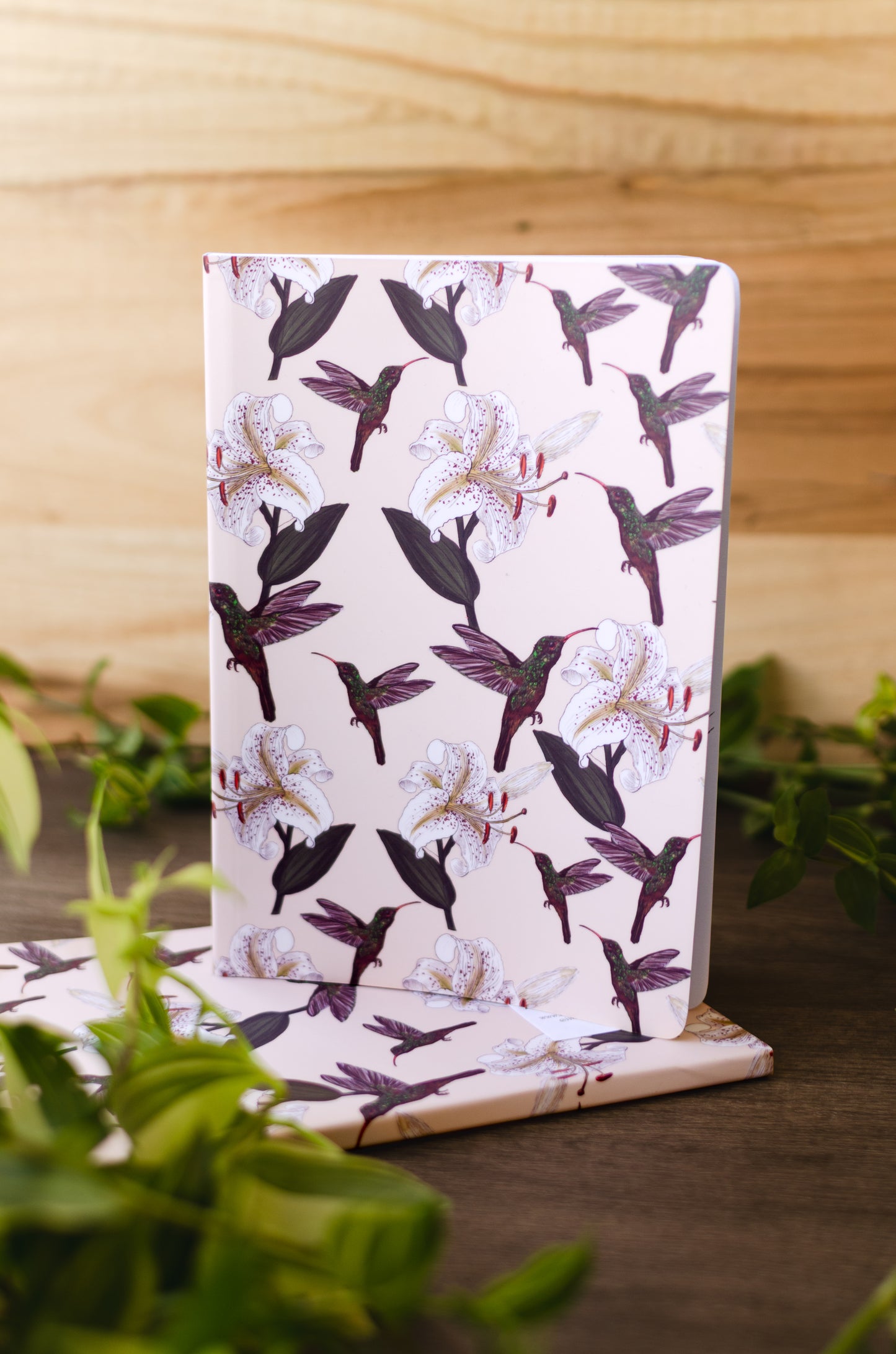 Libreta Colibrí Rabirrufo