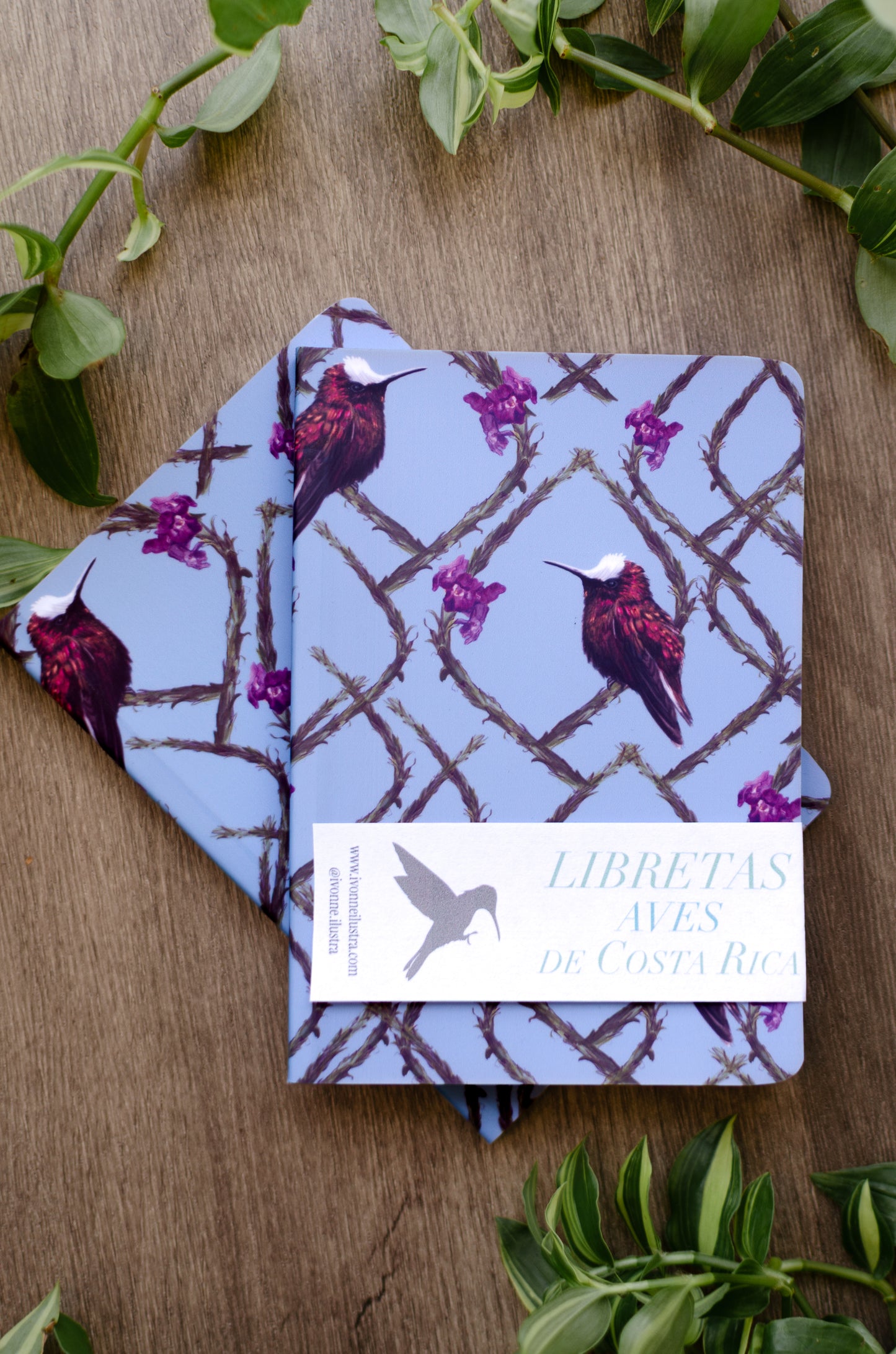 Libreta Pequeña Copete de Nieve