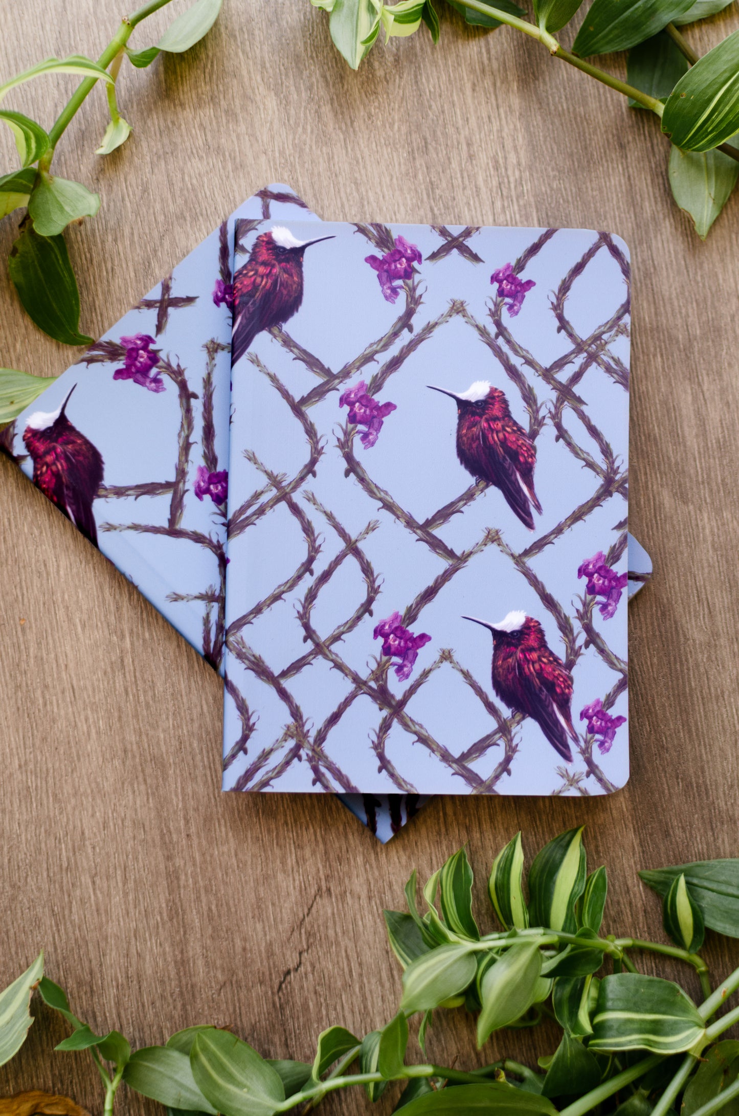 Libreta Pequeña Copete de Nieve