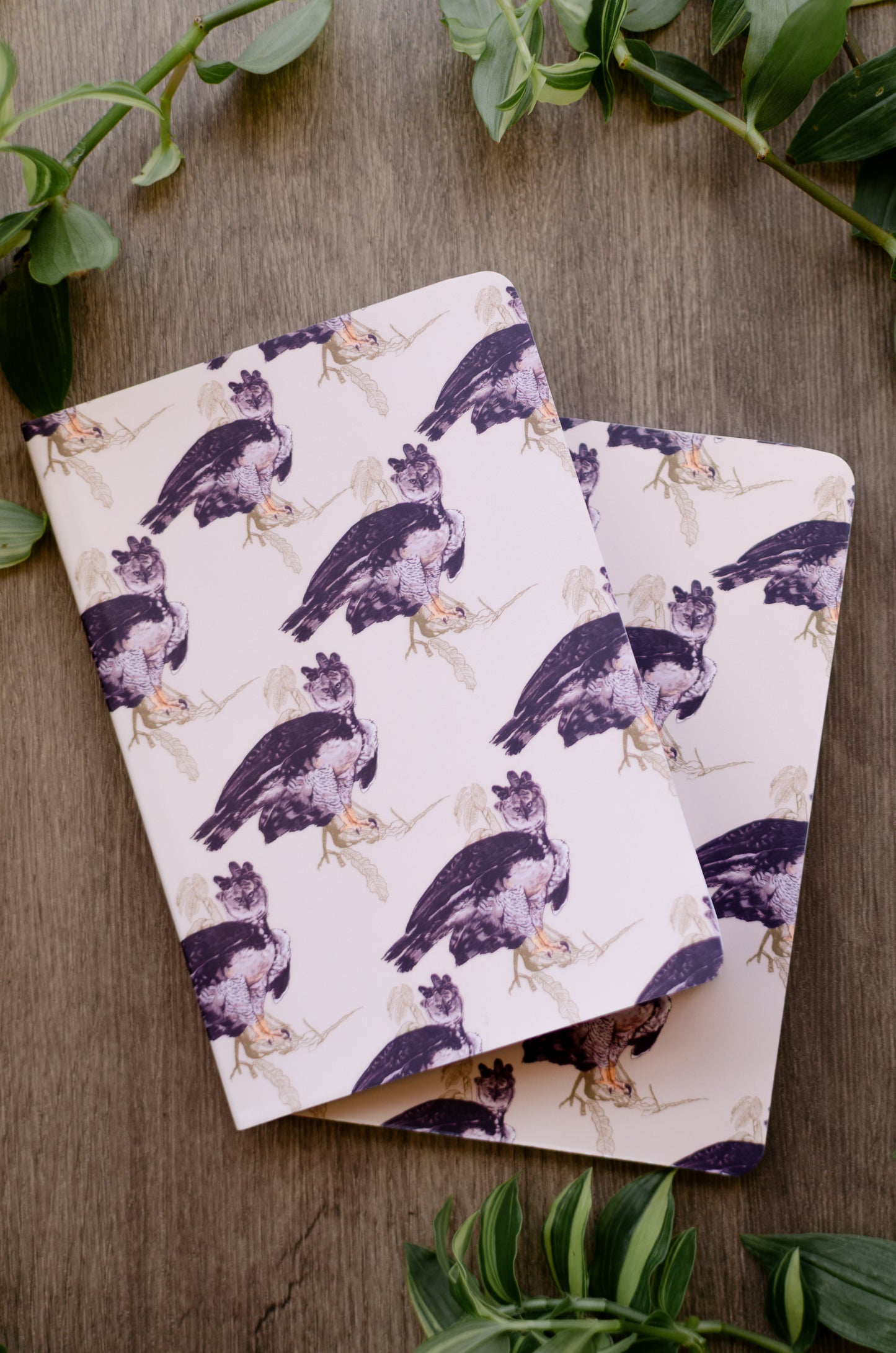 Libreta Pequeña Águila Arpía