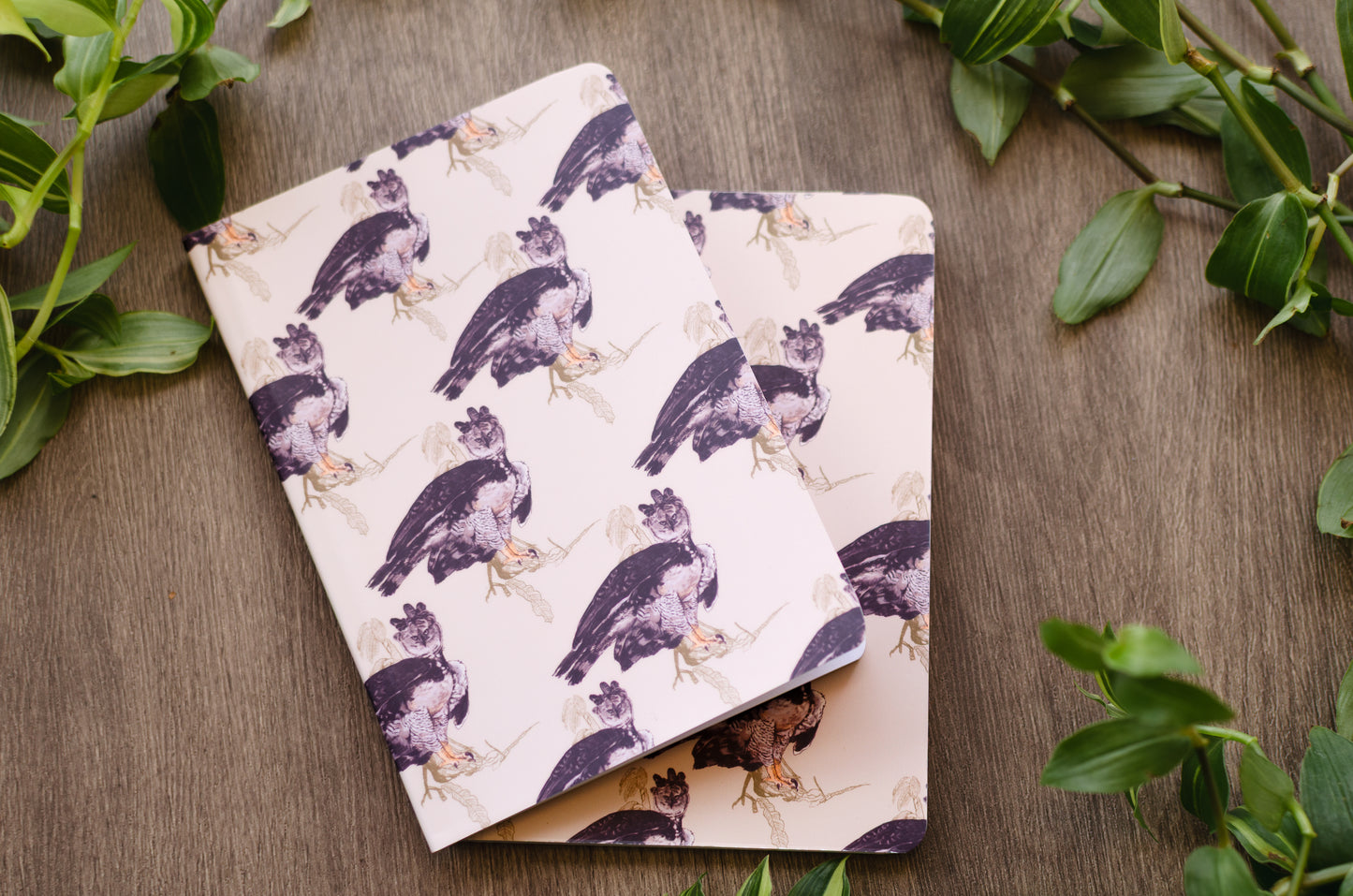 Libreta Pequeña Águila Arpía