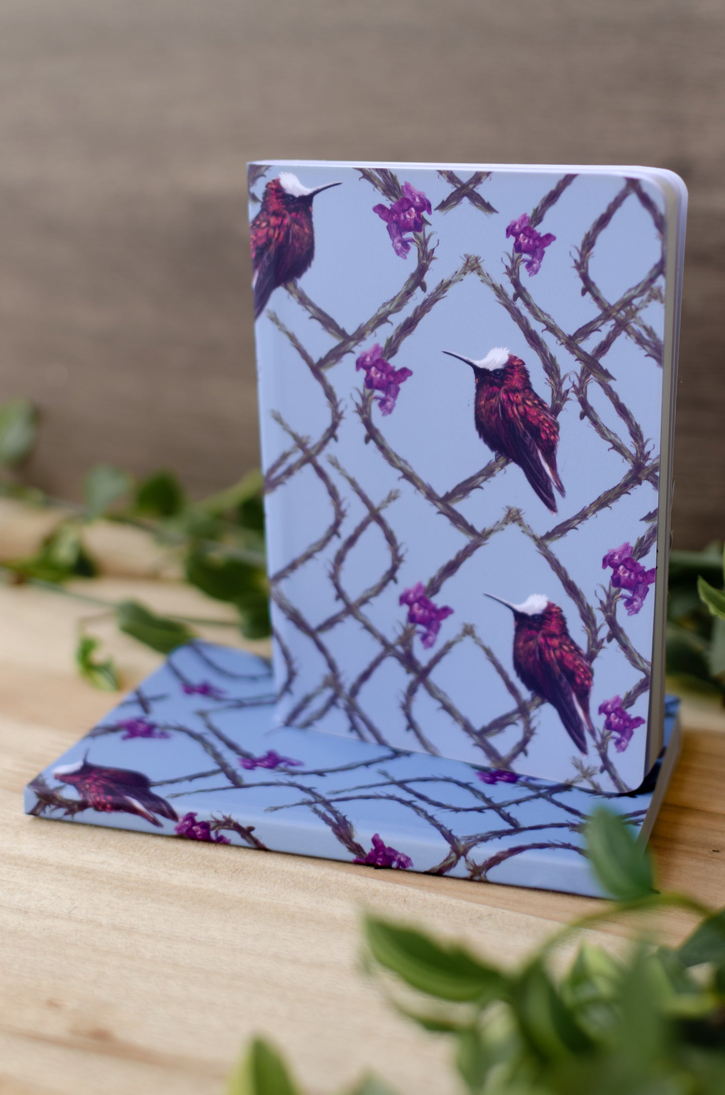 Libreta Pequeña Copete de Nieve