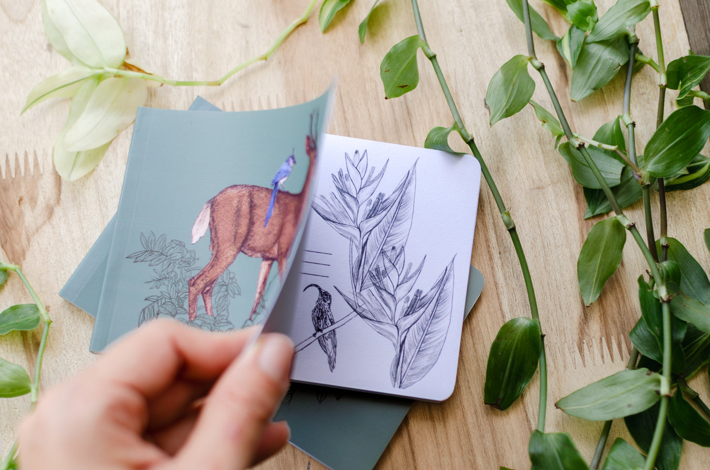 Libreta Pequeña Venado & Urraca