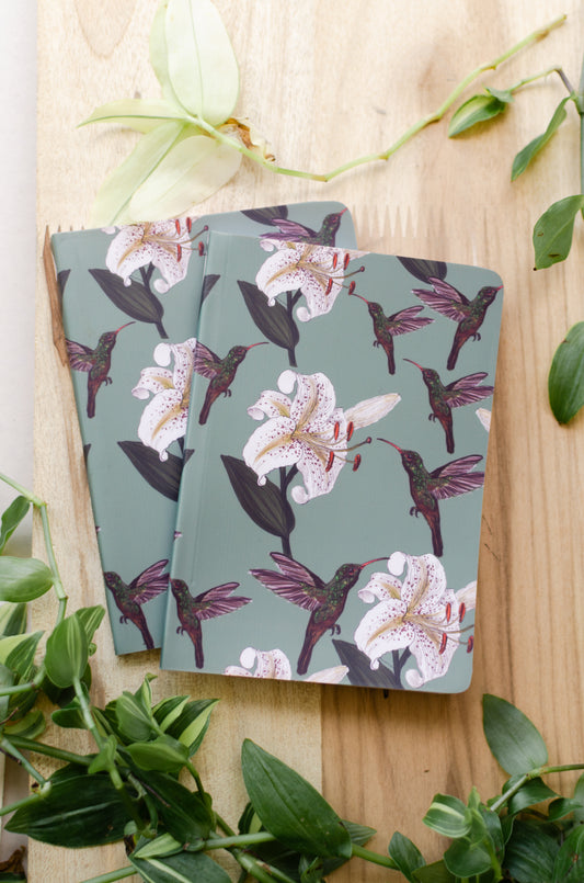 Libreta Pequeña Colibrí Rabirrufo