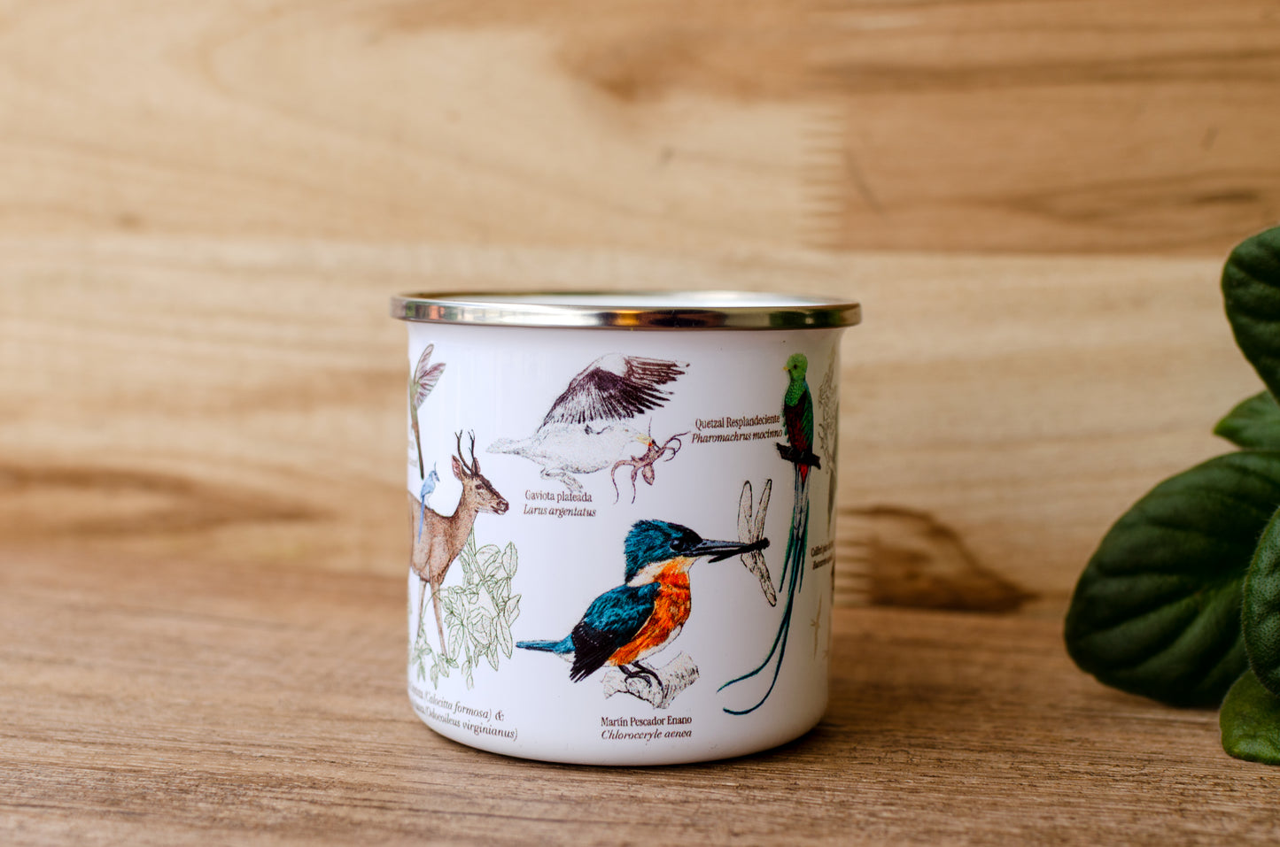 Jarra Loza Aves de Costa Rica Blanca