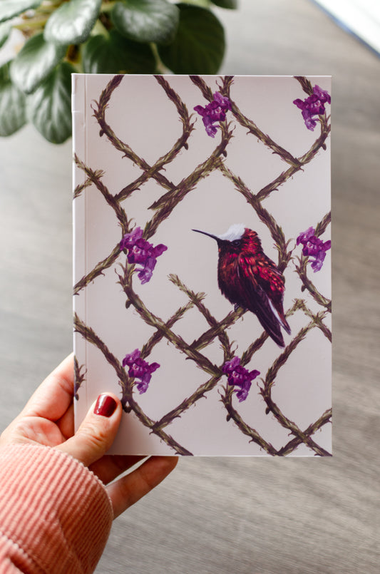 Libreta Copete de Nieve