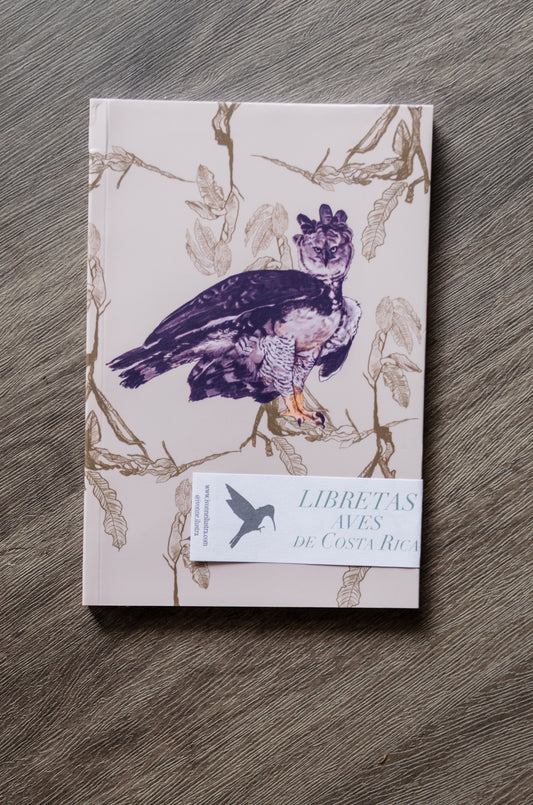 Libreta Águila Arpía