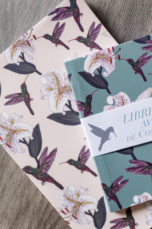 Libreta Colibrí Rabirrufo