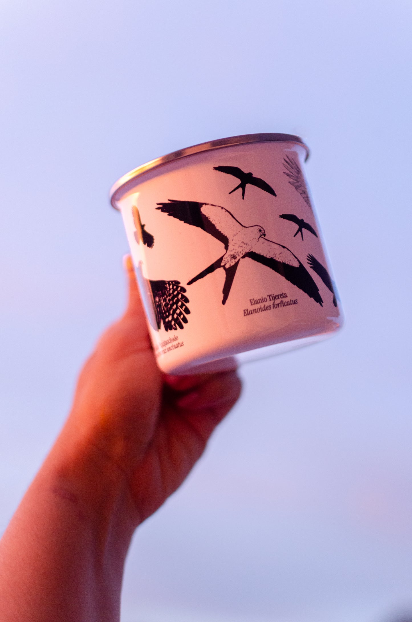 Jarra Loza Rapaces Migratorias