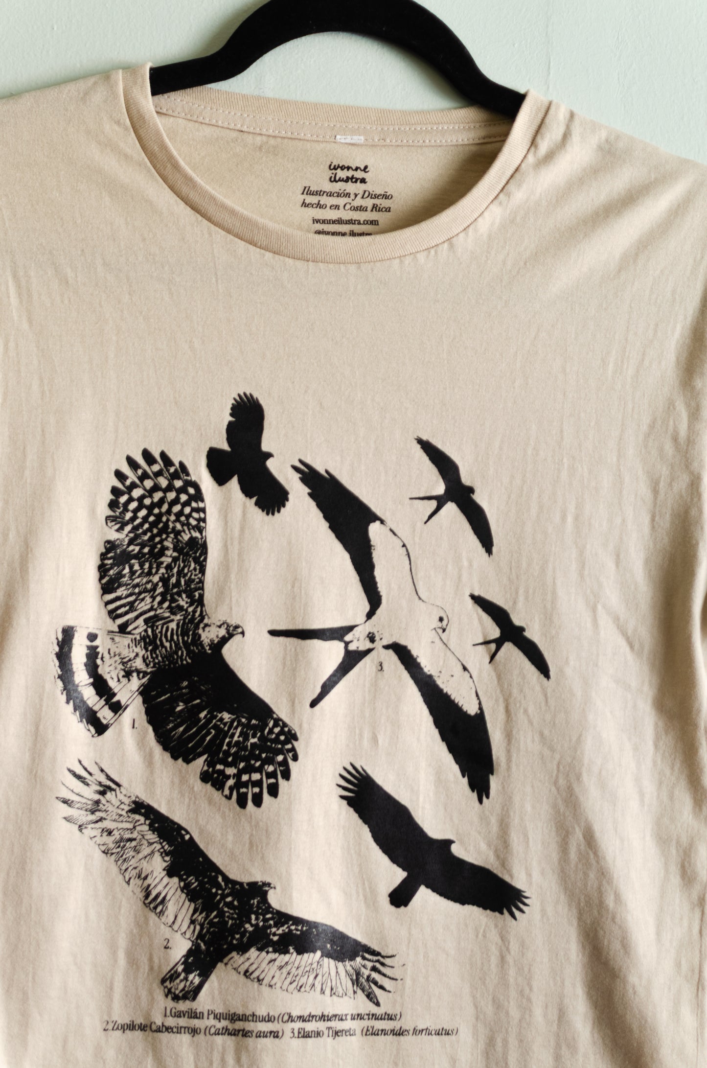 Camiseta Rapaces Migratorias